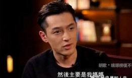 娱记爆料董子健视频,娱记爆料背后的真相