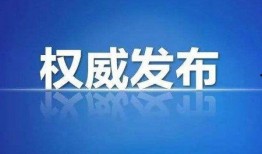 亲子鉴定 爆料流程视频,一探究竟的真相追踪