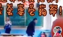 热搜爆料打架视频播放,现场画面曝光，网友热议不断