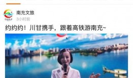 南充今日爆料电话,揭秘热线背后的真实故事