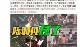 爆料大神佛系明珠视频,揭秘视频背后的神秘爆料故事