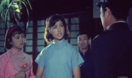 爆料武打视频大全免费观看,揭秘热门武打视频大全，一网打尽经典打斗场面