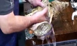 全球猎奇爆料视频大全在线观看,猎奇爆料视频大全在线揭秘