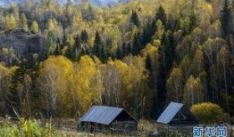 喀纳斯景区爆料事件视频,揭秘神秘事件背后的真相