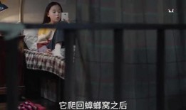 刘德华的姐姐爆料了吗视频