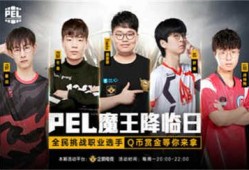 和平精英李灿爆料视频大全,揭秘游戏幕后精彩瞬间