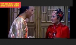 爆料武打视频大全免费观看,揭秘热门武打视频大全，一网打尽经典打斗场面