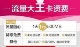 大王爆料视频下载网站,热门视频下载网站大起底