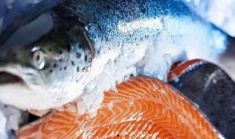 新闻爆料海鱼视频大全最新