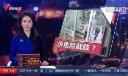 珠海爆料最新消息新闻视频,视频揭露惊人真相！