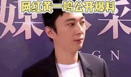 黄一鸣爆料原视频,原视频背后的惊人真相