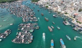 爆料视频海南陵水,揭秘神秘爆料的背后真相