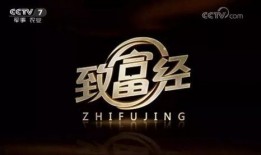 致富经在线观看,在线观看揭秘财富密码