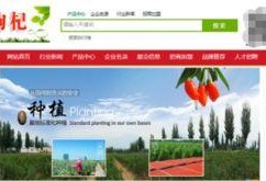 中宁曝光台爆料视频,视频揭秘事件真相