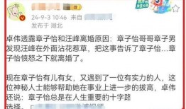 卓伟爆料章子怡最新消息,卓伟独家爆料揭秘