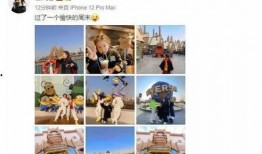 娱乐圈吃瓜爆料文字版,揭秘明星背后的故事