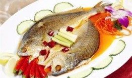 新闻爆料海鱼视频大全最新