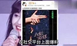 爆料男明星视频大全集下载,爆料男明星视频大全集下载全解析