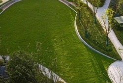 临平公园爆料视频最新