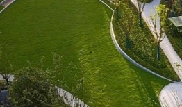 临平公园爆料视频最新