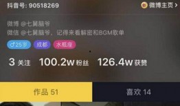 爆料七婶截图视频在线播放,揭秘幕后真相