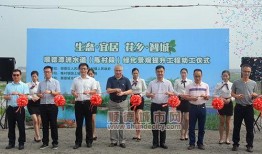 大荔陈村新闻最新爆料,揭秘陈村发展新动向