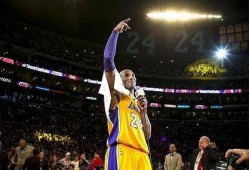 鲨鱼爆料科比视频,鲨鱼爆料揭示篮球传奇背后的故事