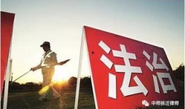 法治栏目新闻爆料是真的吗,真相揭晓，是真是假？