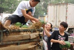 临泉吃瓜最新事件爆料进期,揭秘背后真相与争议