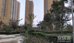 南阳龙锦嘉园最新爆料,揭秘神秘项目背后的惊喜与挑战