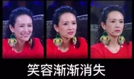原神早期离谱爆料视频,揭秘早期离谱爆料，游戏开发背后的疯狂故事