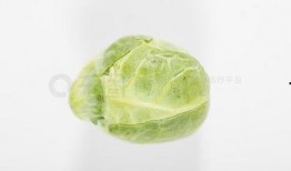 娱乐吃瓜模板图,揭秘明星们的幕后故事与精彩瞬间