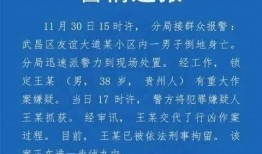 武汉教师爆料视频最新版,揭露教育乱象背后的真相