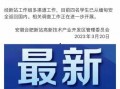 海南新闻爆料媒体网最新消息,最新动态盘点，揭秘岛内热点事件！