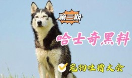 宠物黑料爆料视频大全免费,黑料爆料视频大全免费大放送！