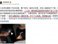 郑州爆料小可爱事件视频,网络热议背后的真相揭秘