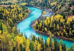 喀纳斯景区爆料事件视频,揭秘神秘事件背后的真相