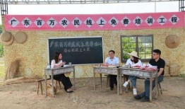 致富经在线观看,在线观看揭秘财富密码