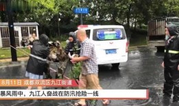 双流新闻爆料,最新爆料揭示事件真相
