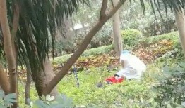泥娃树兰生活爆料视频大全,视频大全带你领略独特魅力