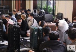 柬埔寨电诈爆料最新,最新爆料揭示跨国诈骗产业链