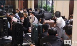 柬埔寨电诈爆料最新,最新爆料揭示跨国诈骗产业链