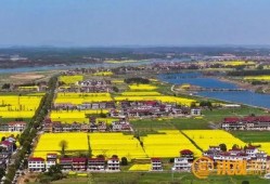 南昌安义县最新爆料,揭秘当地发展新动态与民生热点