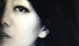 野兰花在线观看,探寻神秘花海背后的传奇故事