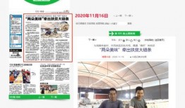 旅游爆料新闻最新报道,热门景点突发奇观，游客惊叹不已！