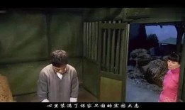 来那在线观看,穿越时空的奇幻之旅