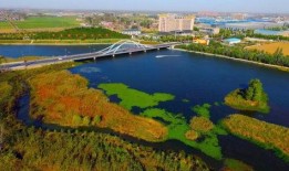 河南都市爆料牛河新闻,牛河突发新闻，真相揭秘！