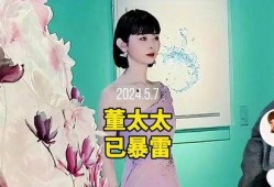 大神爆料董太太视频,揭秘豪门背后的惊人真相