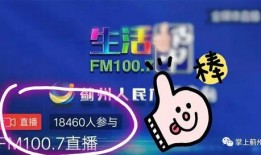 生活帮直播在线观看,实时捕捉生活精彩瞬间