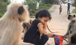 网友爆料瘦猴子视频,网友热议其减肥秘诀